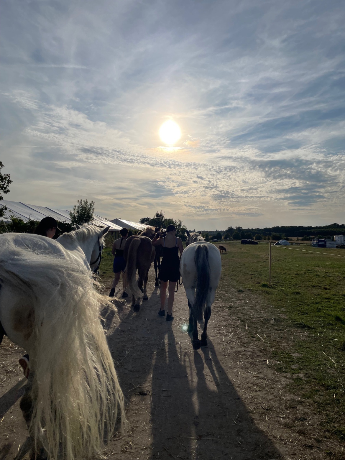 Les Ecuries du Rosey au championnat de France à Lamotte !