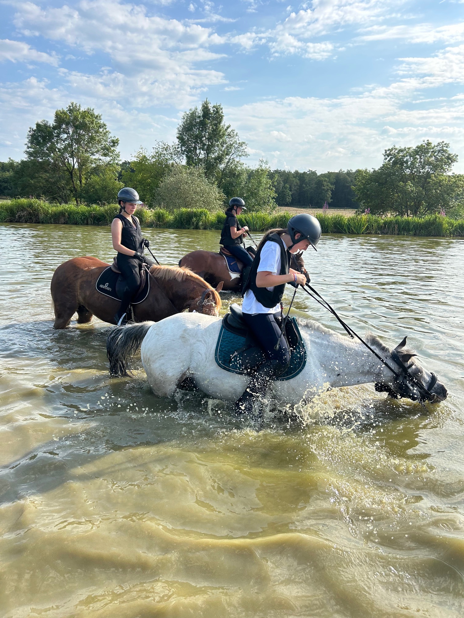 Les Ecuries du Rosey au championnat de France à Lamotte !