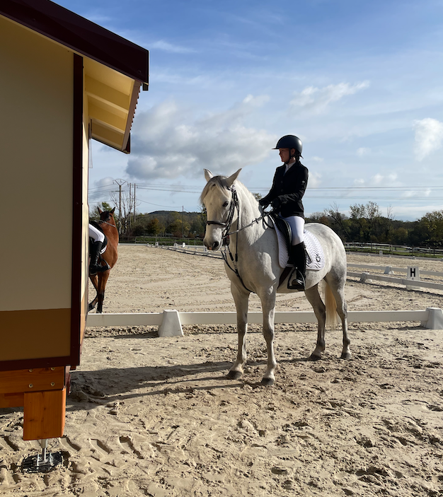 Concours de dressage pour la team